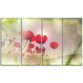 thumbnail image 2 of Wild Red Poppy Flowers - Floral Canvas Art Print, 2 of 3