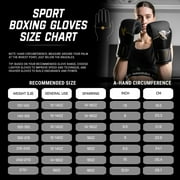 Hayabusa Sport Boxing Gloves - Black/Gold, 16oz