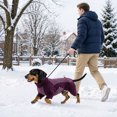 thumbnail image 6 of YYDENG Color‑Block 4‑Legged Pet Hooded Jumpsuit, Warm Adjustable Dog Winter Coat with Leash Hole, Indoor Outdoor Cold‑Weather Dog Apparel, 6 of 6