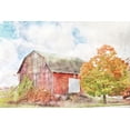 thumbnail image 2 of Bluebird Barn 18x13 White Modern Wood Framed Museum Art Print Titled - Autumn Maple by the Barn, 2 of 4
