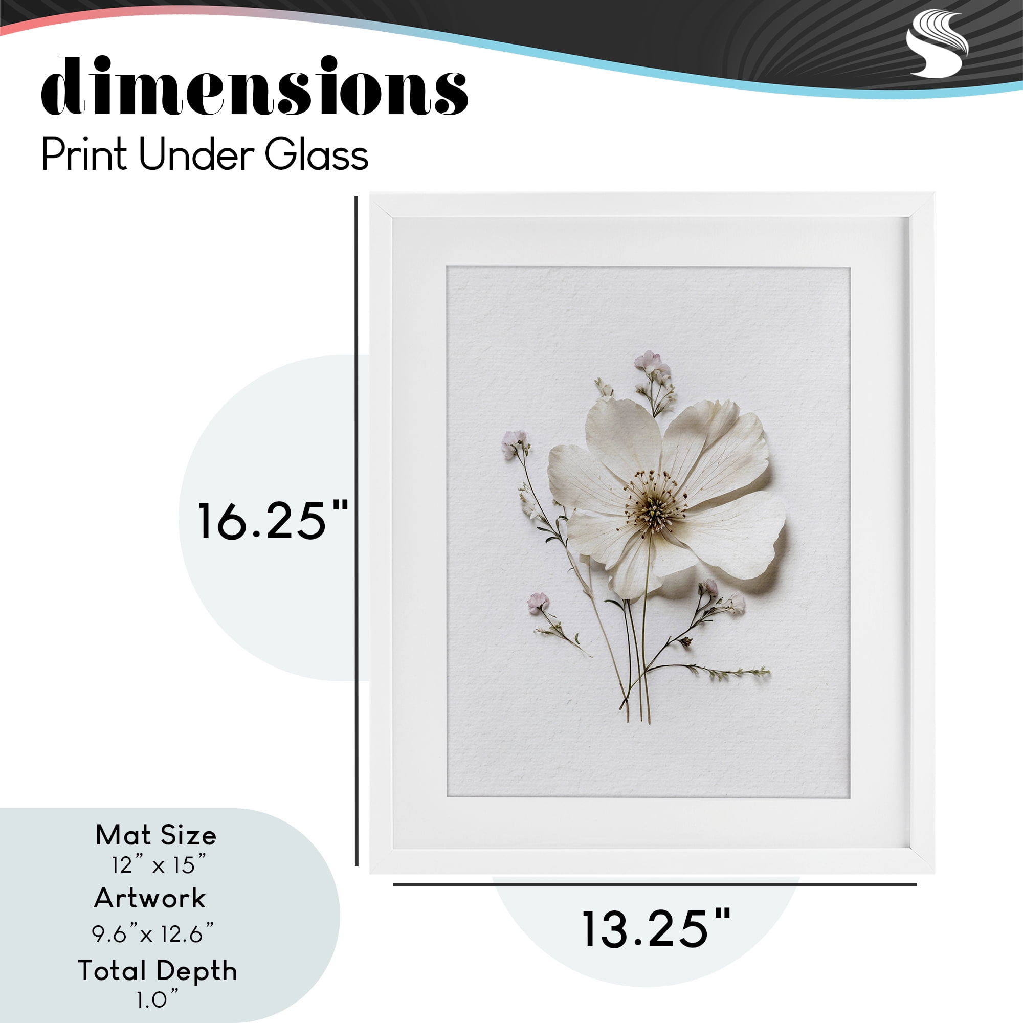 Simple Pressed Cottage Flower White Framed Print Under Glass, design by Lettered and Lined