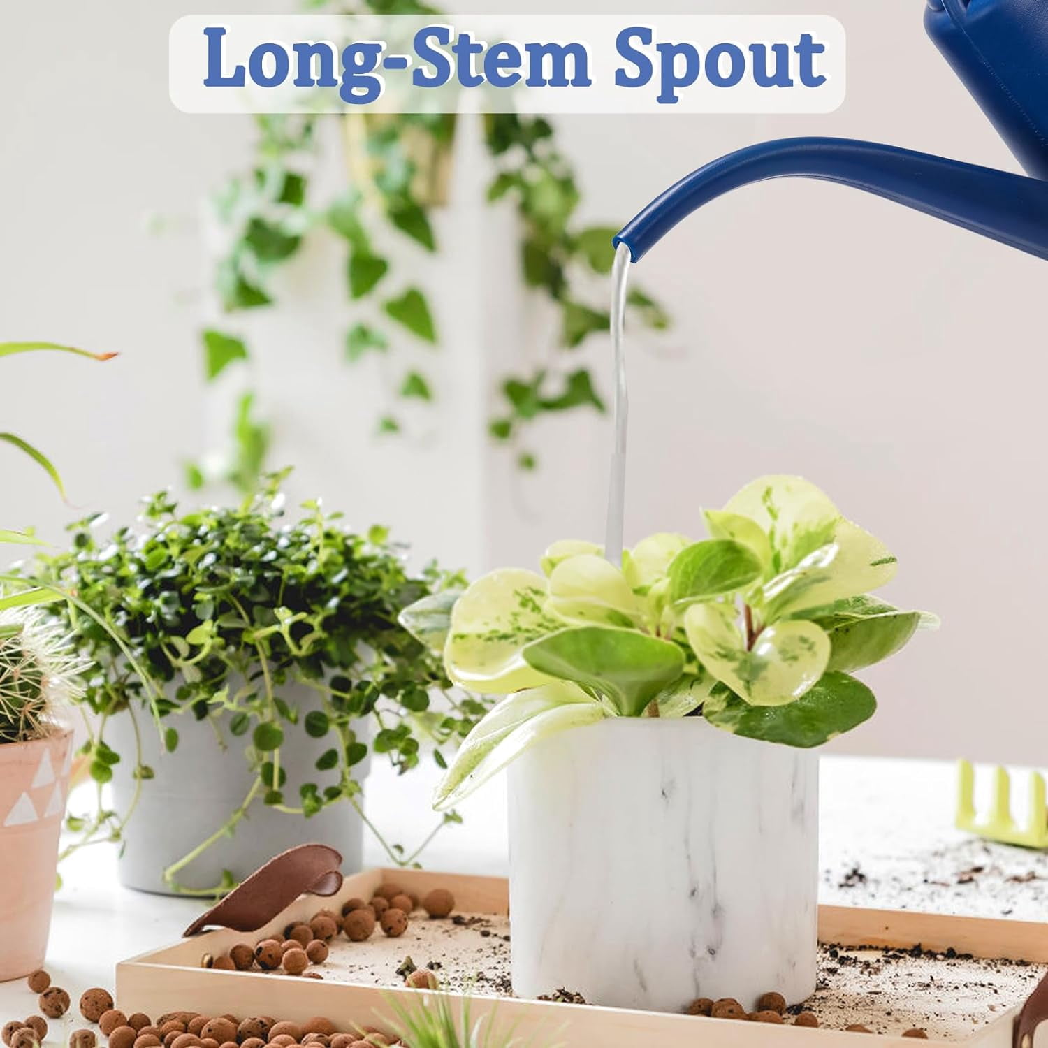Watering Can, 1/2 Gallon Plastic Cans with Comfortable Handle, Small Garden Long Spout for Indoor Outdoor Plants, Blue