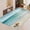 Color 4, variant on FJPT Soft Small Area Rugs Non Slip Indoor Floor Carpet For Living Room Bedroom Decor 47.2x31.5 inch