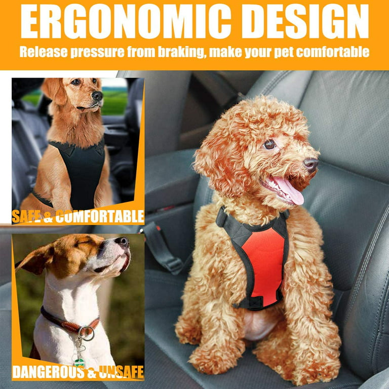 Keep Your Pup Safe in the Car with a Dog Car Safety Harness - Long