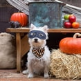 thumbnail image 4 of Fall Halloween Dog Bandanas Reversible 2 Pack Small, Black Pumpkin Ghost Spider Web Cute Halloween Pet Bandanas for Dogs Adjustable Triangle Holiday Scarves for Small Medium Boy Girl Dogs, 4 of 6