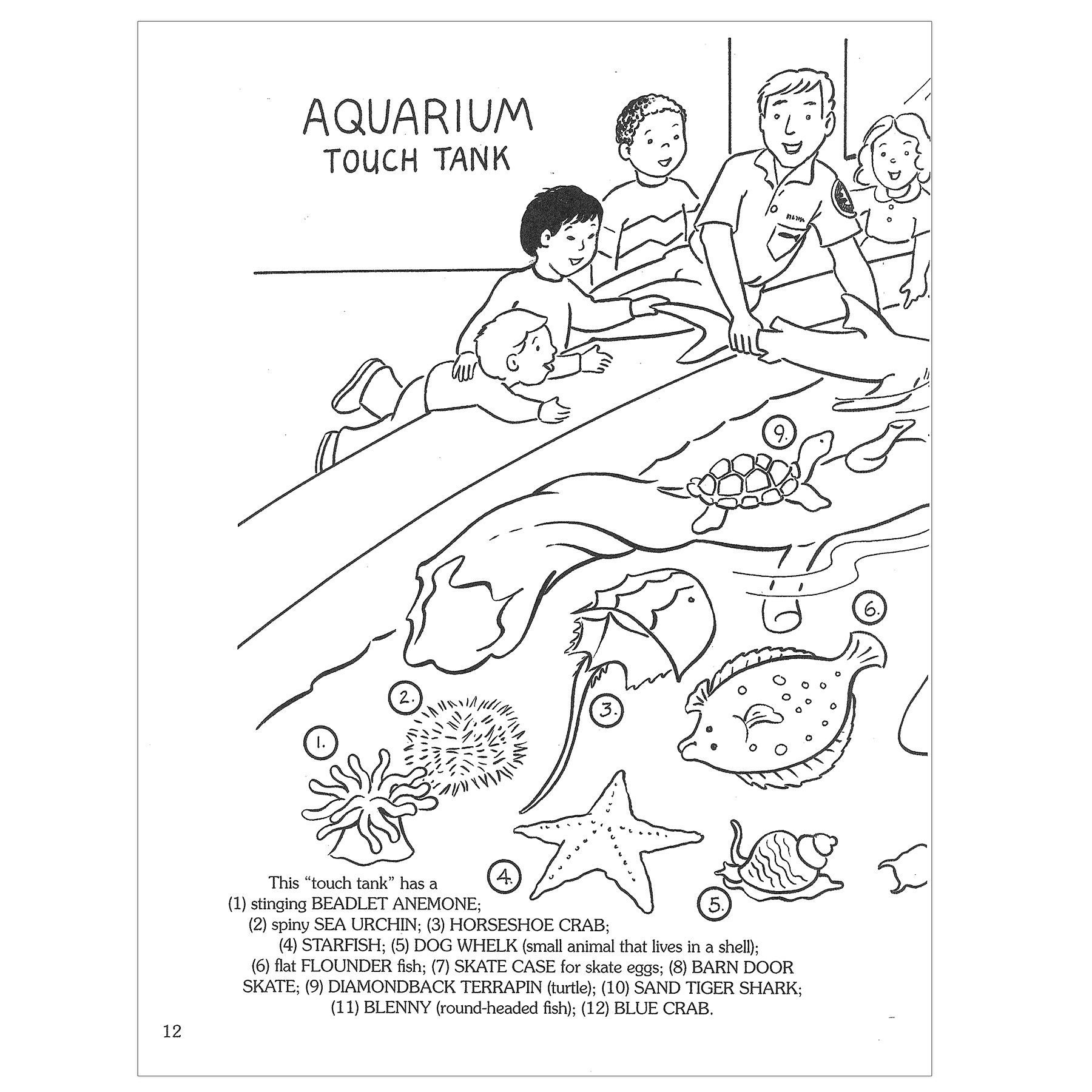 Dover Coloring Book At The Aquarium Coloring Book, Pack of 6