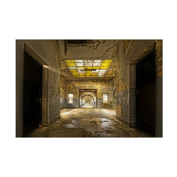 Canvas Wall Art - Paul Boomsma 'Labyrinth-School' Wall Art for Living Room, Bedroom, or Office D?cor by Trademark Fine Art - 19 x 12 Inches