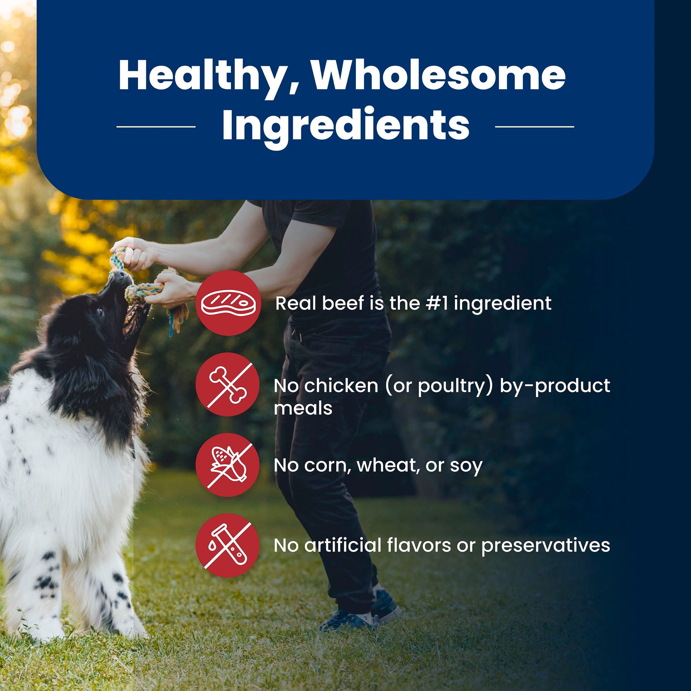 Blue Buffalo Life Protection Formula, Natural Adult Dry Dog Food, Beef, 40lb