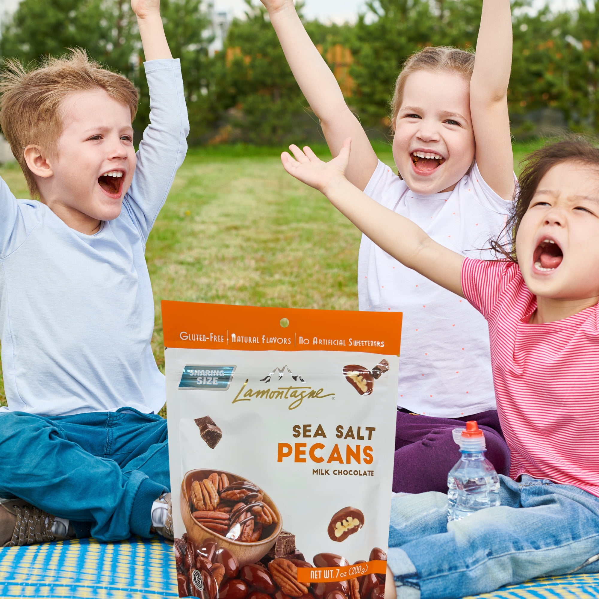 Lamontagne Milk Chocolate Sea Salt Pecans 7Oz 2 Pack, Sweet Salty Snack Gluten-Free Nuts Gift Stuffer