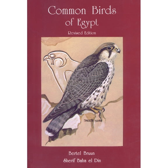 Common Birds of Egypt, (Paperback)