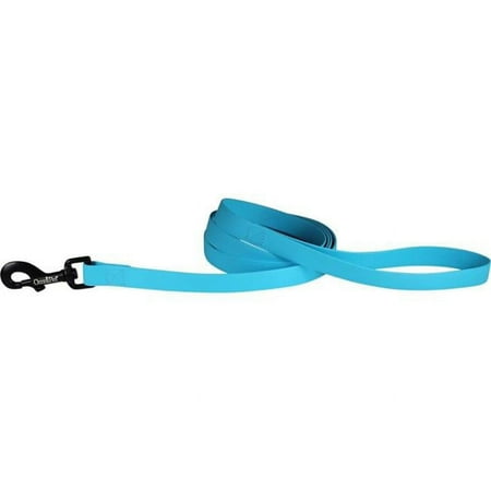 UPC: 0024764263556 | Leather Brothers 19148-LBL 0.75 in. x 6 ft. Carnival Biothane Dog Lead Light Blue
