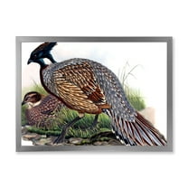 Designart 'Close Up Of Vintage Countryside Birds' Farmhouse Framed Art Print