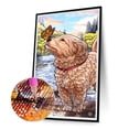thumbnail image 1 of Cuadros Decorativos Cachorro jugando en el agua 5D DIY Diamond Painting Kits Full Round Drill Decor Tmvgtek embutido en tela, 1 of 8
