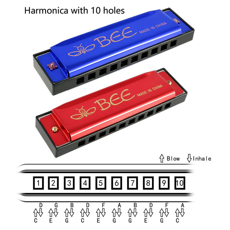 Koogel 2 PCS Translucent Kids Harmonica,10 Hole Harmonica for Toddler  Musical Instruments for Beginners Party Birthday Gifts