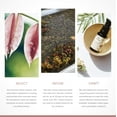 thumbnail image 3 of Annmarie Anti-Aging Eye Cream, 3 of 8