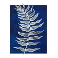 thumbnail image 2 of Medley, Elizabeth 26x32 Gold Ornate Wood Framed with Double Matting Museum Art Print Titled - Blue Fern in White Border I, 2 of 4