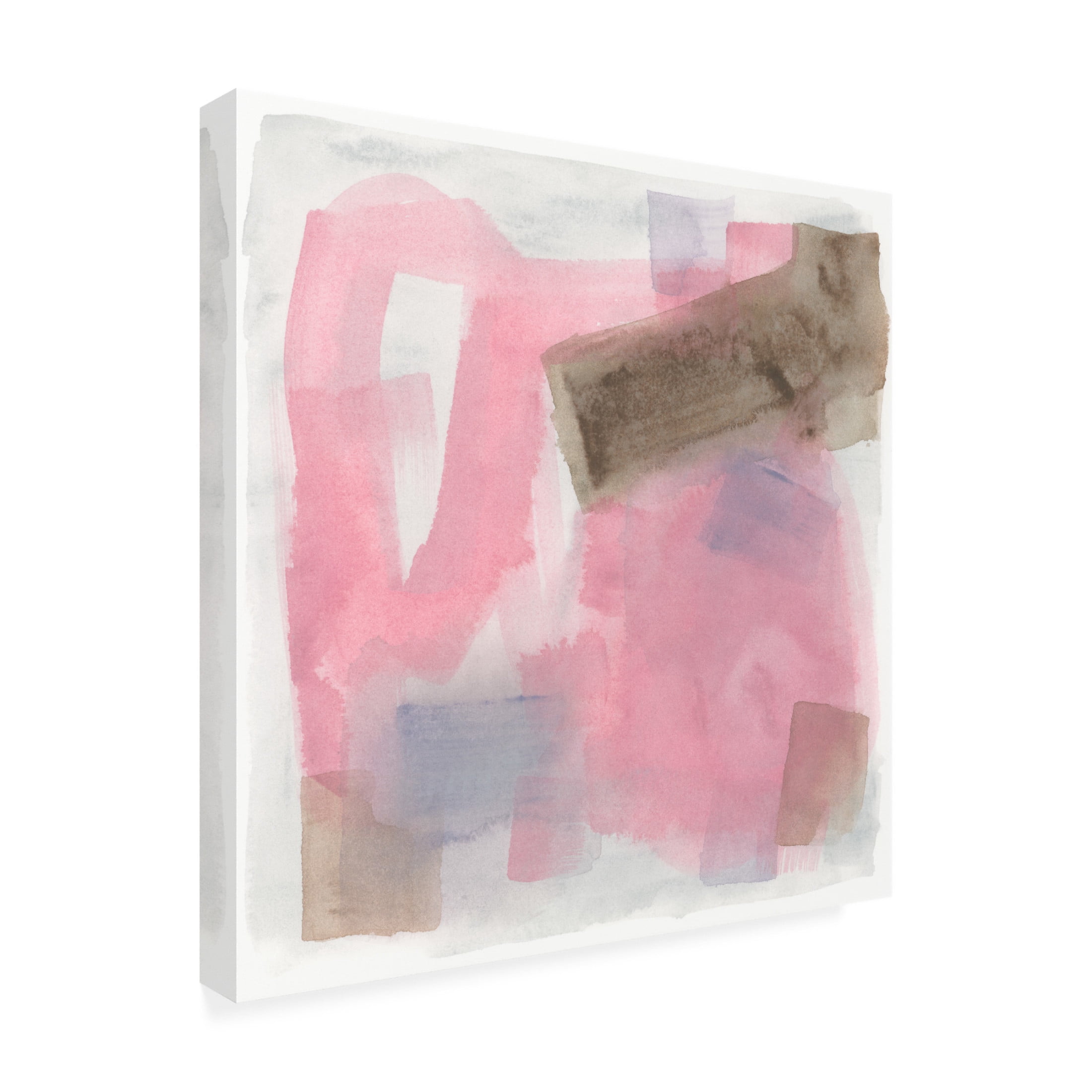 Trademark Fine Art June Erica Vess  Luz Rosa I Canvas Wall Art