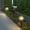 Black, variant on Xihbxyly Solar Lights Outdoor Solar Lights Water Proof Supper Bright Up To 10 Hrs Stainless Steel Metal Auto On Off Solar Outdoor Lights Powered Lights For Garden Yard Outdoor Lights