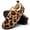 Brown Leopard, variant on Leopard Print Slippers for Women Indoor Barefoot Slippers Socks Furry Slip on House Shoes