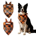 thumbnail image 3 of Gardjoe Not only does this Halloween pet bandana add spooky festive style to your dog or cat, but it also provides comfortable breathable wear that pets love all season long, 3 of 6