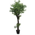 thumbnail image 1 of Jeco HD-BT142 63 Po. Arbre Chinois Suivant, 1 of 3