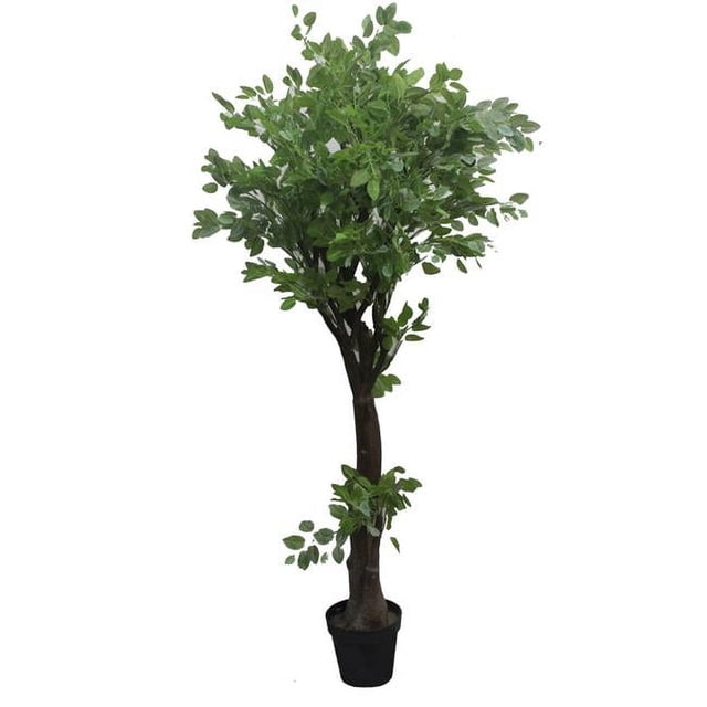 Jeco HD-BT142 63 Po. Arbre Chinois Suivant