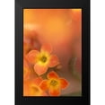 thumbnail image 2 of Connolly, Karin 13x18 Black Modern Framed Museum Art Print Titled - Orange Blossom II, 2 of 5