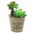 thumbnail image 1 of Se utiliza para decorar su hogar u oficina: plantas en macetas suculentas artificiales realistas, 1 of 5