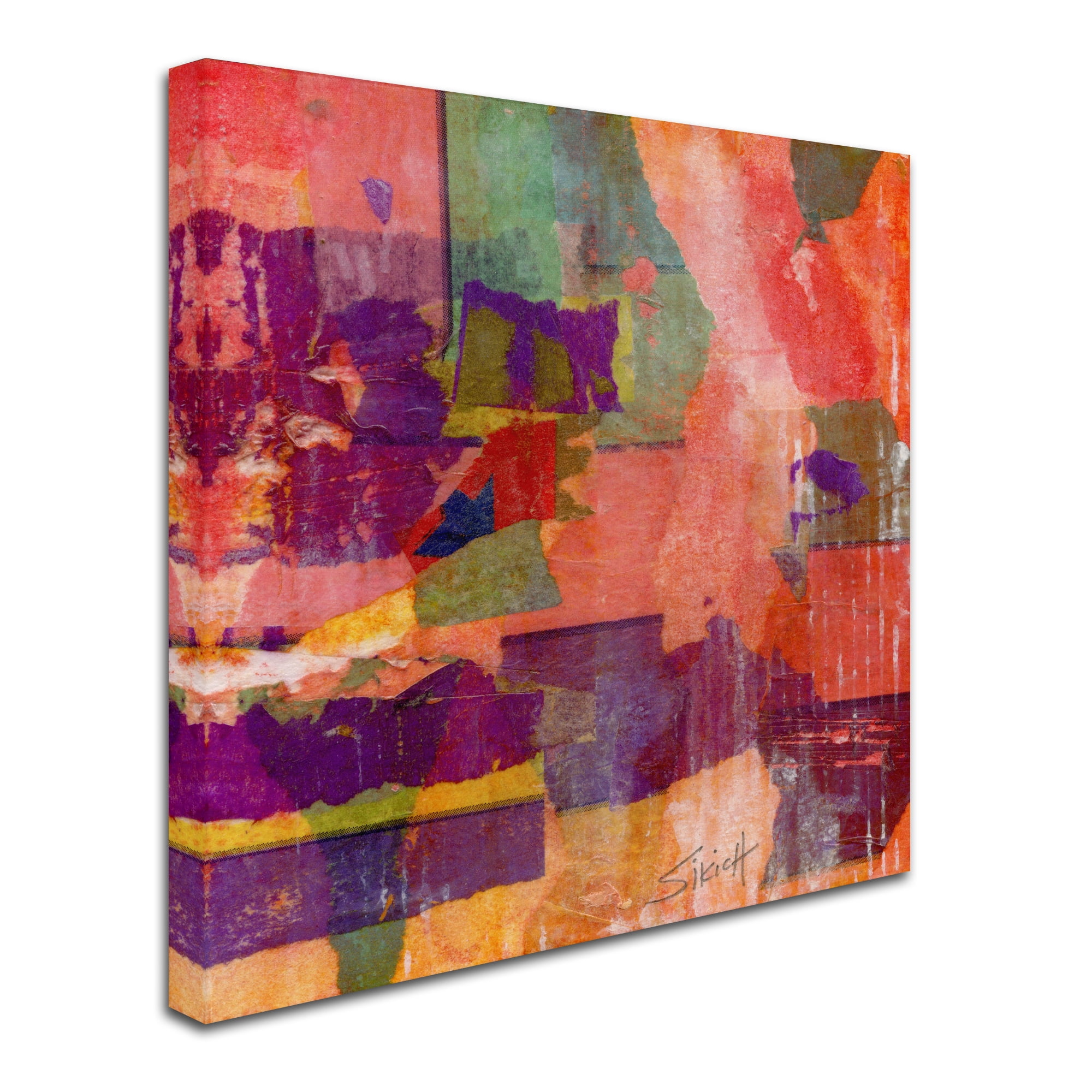Trademark Fine Art 'Wanderings' Canvas Art by Anthony Sikich