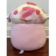 thumbnail image 3 of Squishmallows 14" Mushroom Rachel Plush Ultrasoft Stuffed Animal Large Plush Toy, 3 of 3