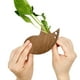 thumbnail image 3 of Pelador De Verduras Con Forma De Pájaro De Madera, Utensilio De Cocina Para Pelar De Forma Eficaz Y Con Diseño Ergonómico, 3 of 8