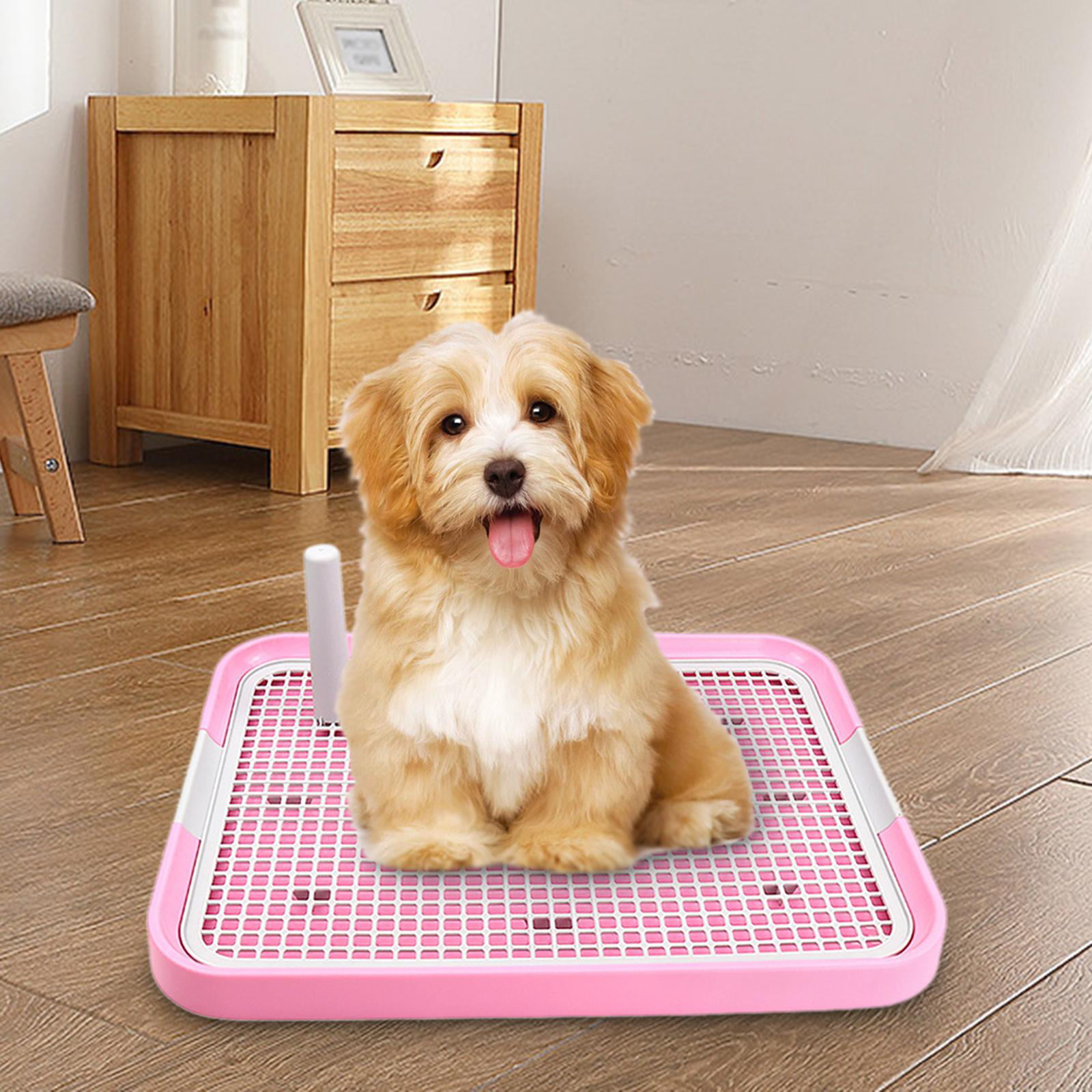 YANYUESHOP Extra Large Dog Potty Tray Puppy Pee Pad Holder with Anti-Skid  pad Mesh Training Toilet Tray for Big and Medium Dogs, Keep Paws Dry