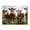 500 Pieces, variant on Cattle Grazing Field Farm Sky 500-Piece Wooden Jigsaw Puzzle for Adults, Fun & Challenging Family Game, Stylish Wall Decor & Holiday Gift