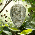 thumbnail image 4 of Fake Wasp Nest Deterrent for Outdoors - Hanging Hornet-Nest Decoy, Hanging Fake Wasp Nests Faux Hornet-Nest Decoy Artificial Bee Hive Nests for Garden Yard Outdoors green, 4 of 7