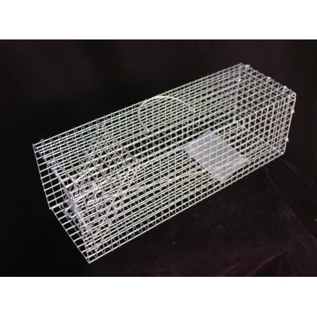 Single Door RIGID LIVE TRAP - Cage - Mice Rat (Best Live Trap For Rats)