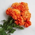 thumbnail image 5 of Artificial Orange Marigold Flower Bush - For Day of The Dead, Día de Muertos Ofrenda, Fall Flower Arrangement, Fall Decor, Corsages and Boutonnieres, 5 of 6