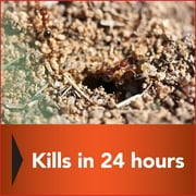 Eliminator Fire Ant Killer Plus Granules, 3 lb. Bag