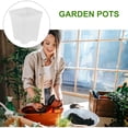 thumbnail image 3 of SEWCHICS 20pcs Practical Growing Planters Transparent for Horticultural Use, 3 of 8