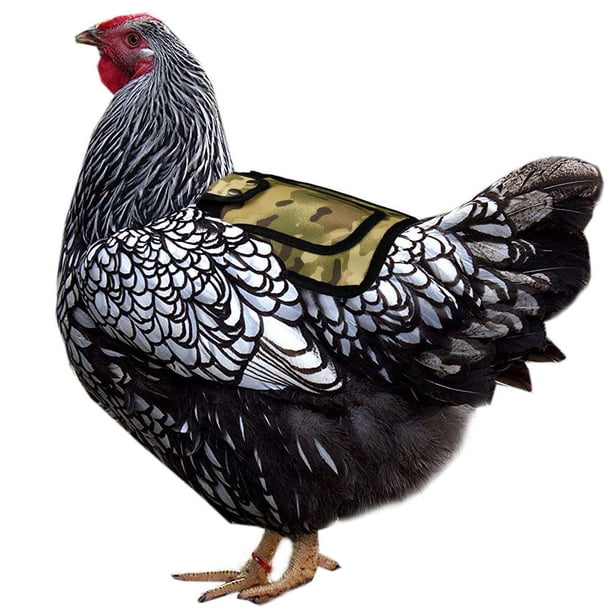 Pollo Con Correa Ajustable Protector De Alas De Montura De Gallina Para Espalda Y Costados Serendint HA044940-03