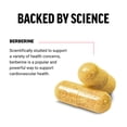 thumbnail image 2 of Force Factor Berberine 500mg for Cardiovascular, Metabolism & Healthy Glucose Support, Premium Quality, Vegan, No Gelatin, Non-GMO, 60 Capsules, 2 of 10
