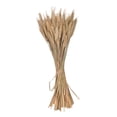 thumbnail image 1 of leyfeng 100 tallos de flores secas, orejas de trigo natural, tallos de trigo secos, paquete de flores de grano de trigo para, 1 of 8