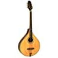 thumbnail image 3 of Gold Tone OM-800+ Mandolin Octave (Acajou), 3 of 4