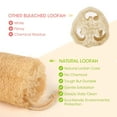 thumbnail image 2 of Esponjas de lufa YEMTAL, naturales y orgánicas, con forma de lufa, baño y ducha, 4 unidades, 2 of 8