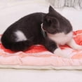 thumbnail image 3 of Pet Blanket Pet Cat Dog Cushion Warm Sleeping Pet Pad Bacon Modelling Blanket Pet SuppliesBacon modeling L, 3 of 4