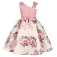 thumbnail image 6 of TAIAOJING Kids Toddler Baby Girls Spring Summer Print Ruffle Sleeveless Princess Dress Family Gifts For Party Decorations For 3-4 Years, 6 of 8
