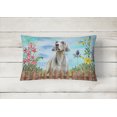 thumbnail image 2 of Carolines Treasures CK1236PW1216 Weimaraner Spring Canvas Fabric Decorative Pillow, 2 of 3