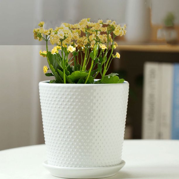 Enqiretly Eco-friendly Garden Planter Pot And Saucer Set Easy To Maintain  Planter Pot With Drainage Hole Saucer Ceramics 