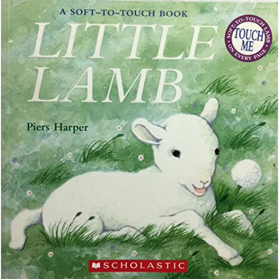 Pre-Owned Little Lamb (Paperback) 043990661X 9780439906616