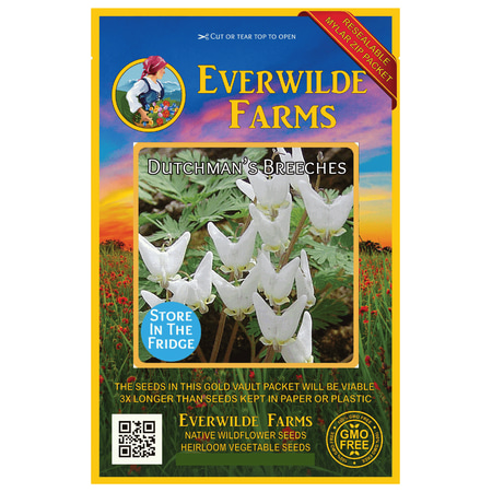 - Everwilde Farms - 40 Dutchmans Breeches Native Wildflower Seeds - Gold Vault Jumbo Bulk Seed Packet