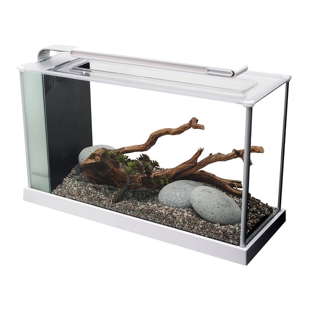 Acuario Fluval SPEC 19L con iluminación LED y filtración de 3 etapas